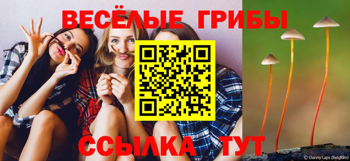 Псилоцибиновые грибы MAGIC MUSHROOMS  Вход с VPN  Псилоцибиновые грибы Cubensis  Валуйки 