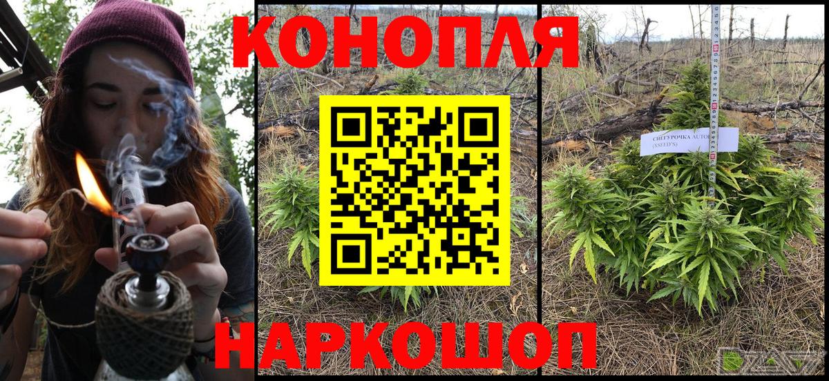Бошки марихуана White Widow Валуйки